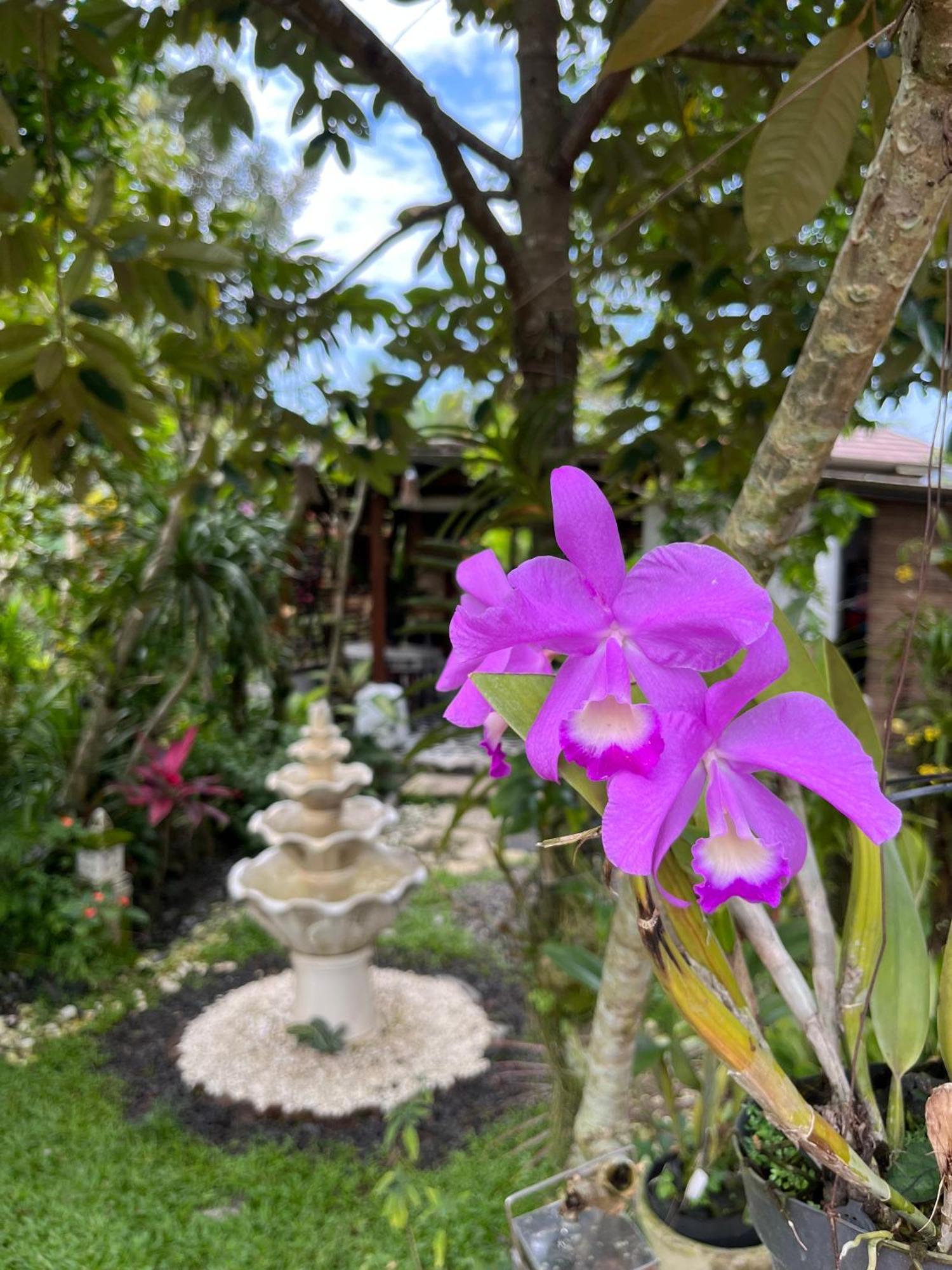 Villa Padi Tjangkringen Exterior foto