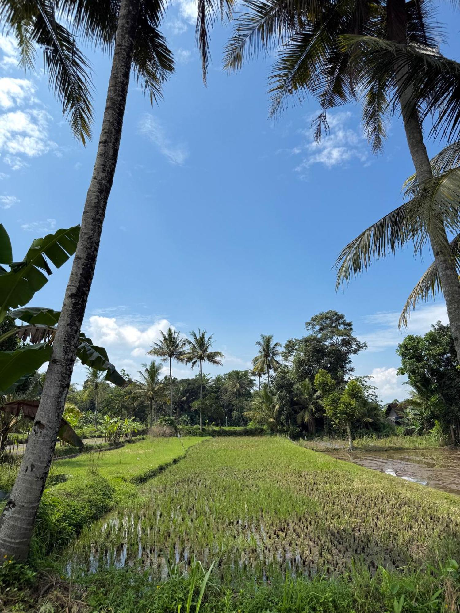 Villa Padi Tjangkringen Exterior foto