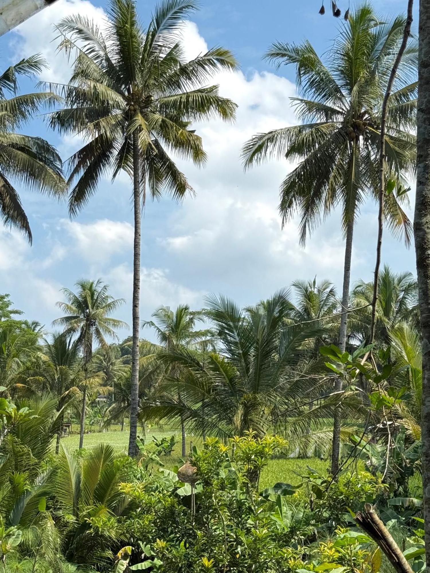 Villa Padi Tjangkringen Exterior foto